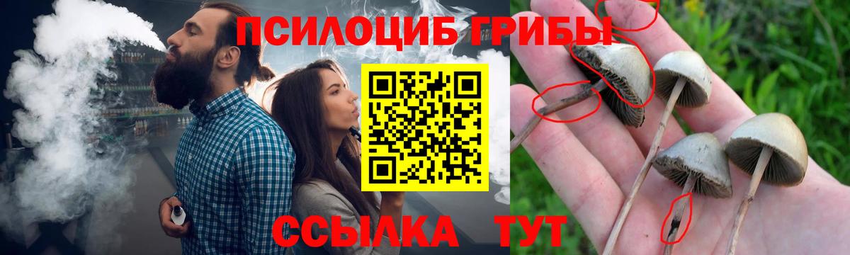 Берёзовский  Галлюциногенные грибы мицелий  Вход с VPN 