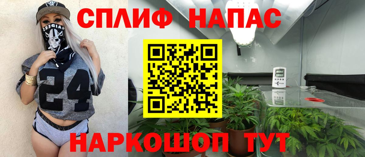 Марихуана ГИДРОПОН  Вход с VPN  Каннабис Amnesia  Берёзовский  Марихуана гибрид  Бошки марихуана планчик 